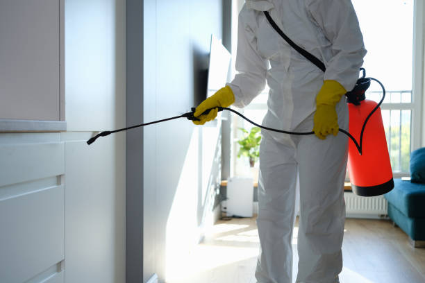 Crawl Space Mold Removal in Raeford, NC