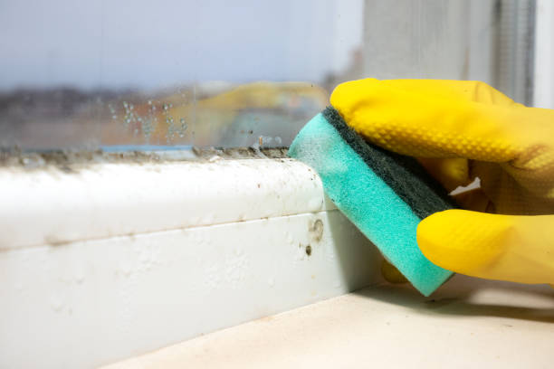 Best Mold Testing  in Raeford, NC
